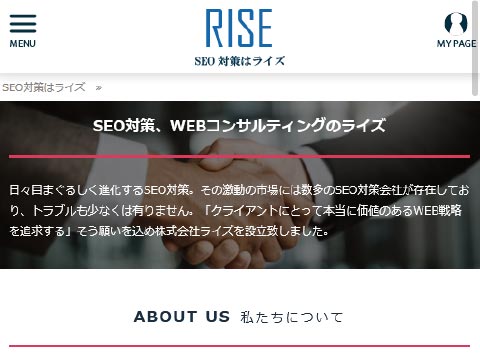 SEO対策とは？自社サイトで公開検証致します